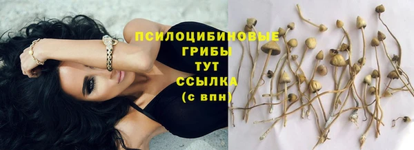 COCAINE Алзамай