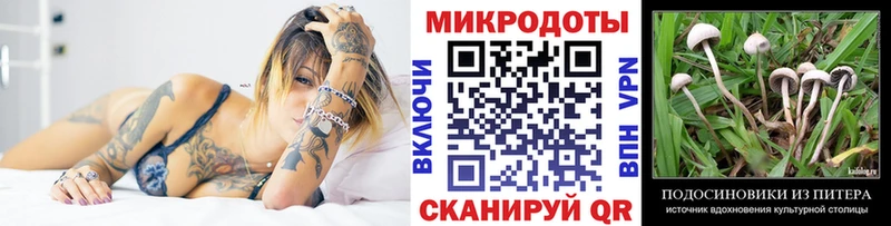 Псилоцибиновые грибы Cubensis  купить наркотик  Сатка 