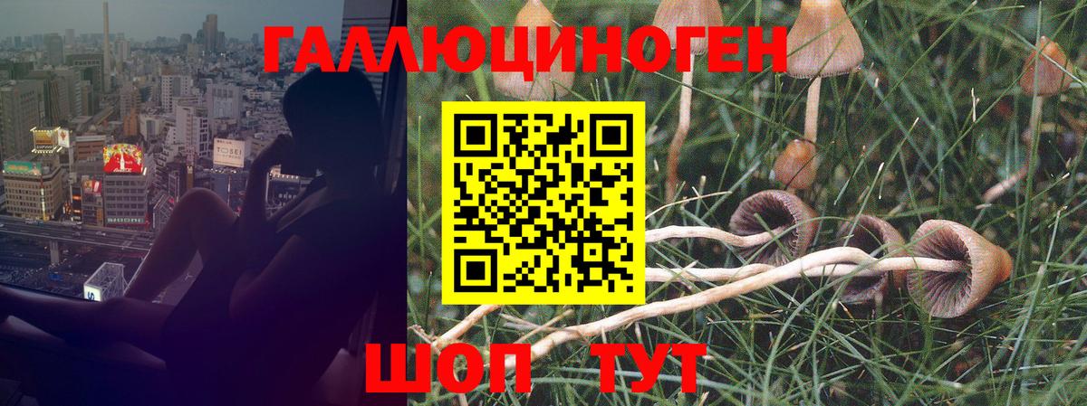 Галлюциногенные грибы MAGIC MUSHROOMS Сатка